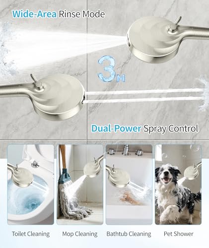Filtered Shower Head with Handheld