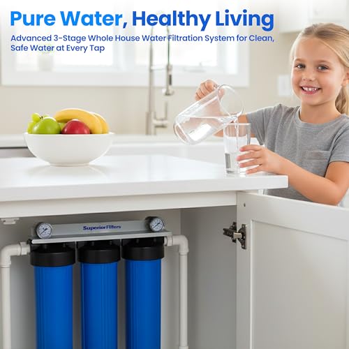 Whole House 3 Stage Filter System 20x4.5 Big Blue w