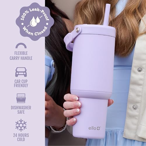 Oasis Go+ 26oz Insulated Stainless Steel Tumbler with Straw