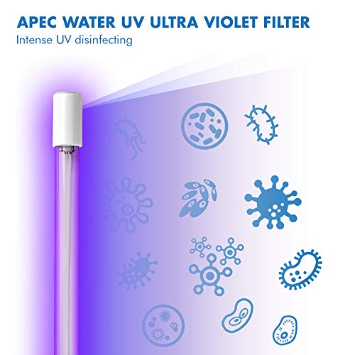 Systems Filter