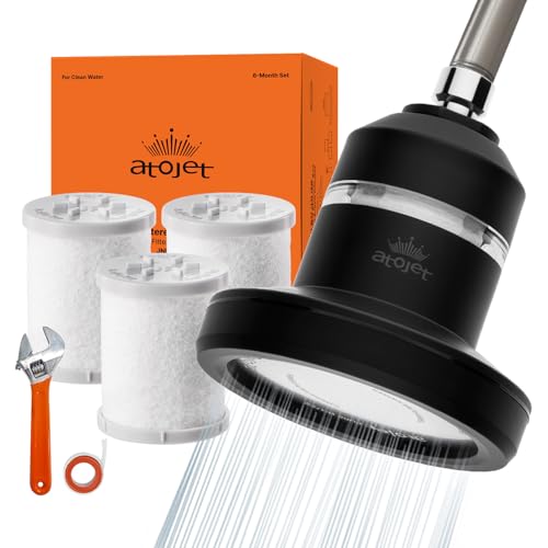 Core Shower Filter Shaped by Korea’s Beauty History