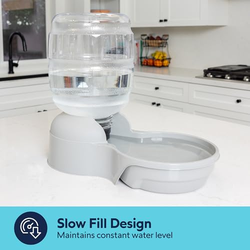 Aspen Pet Lebistro Cat and Dog Water Dispenser