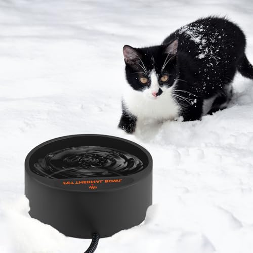 Heated Water Bowl for Outdoor Cats