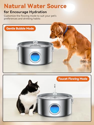 Dog Water Fountain for Large Dogs