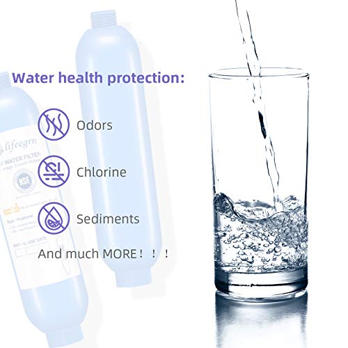 RV Water Filter with Hose Protector (2 Count)
