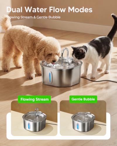 Stainless Steel Cat Water Fountain with 6 Filters