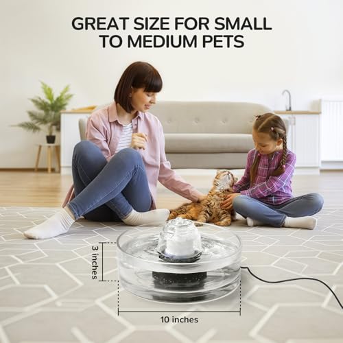 2.7L Glass Pet Fountain (92 Fl Oz)