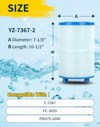 Spa Filter Cartridge Compatible with Unicel C (2 Count)