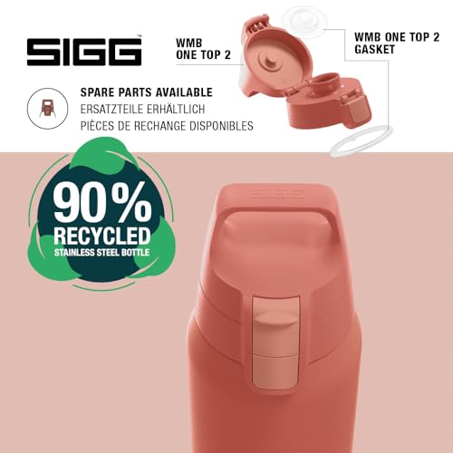 Insulated Water Bottle