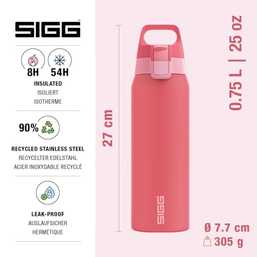 Insulated Water Bottle