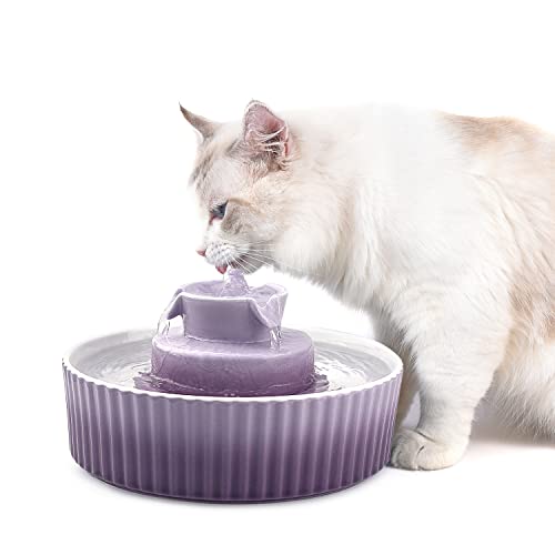 Cat Water Fountain (70 Fl Oz)