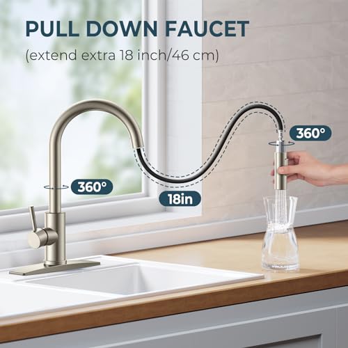 Kitchen Faucet and Water Filter Faucet Combo