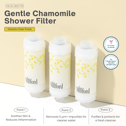 Vitamin C Shower Filter
