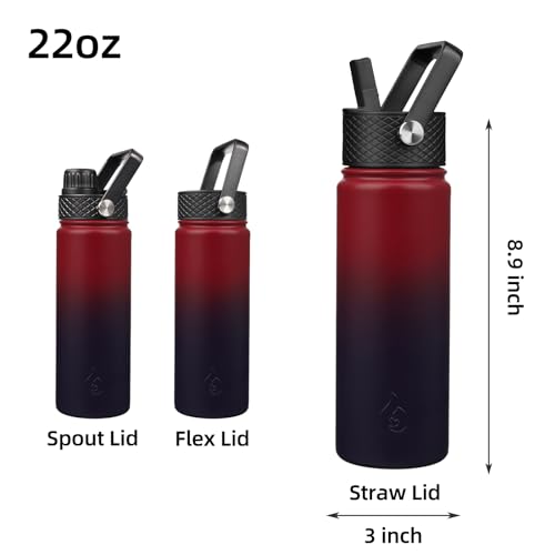 22oz Insulated Water Bottle with Straw Lid