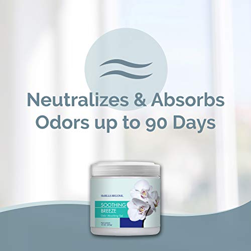 15oz Gel Odor Eliminator (30 Ounce)