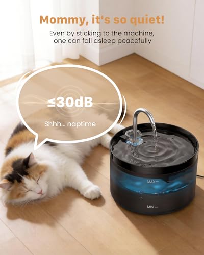 Cat Water Fountain