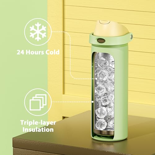24 oz Insulated Water Bottle with Straw