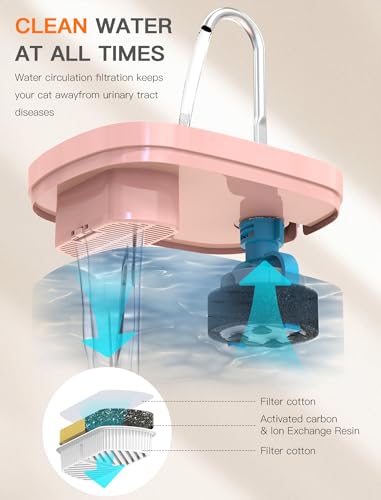 Cat Water Fountain
