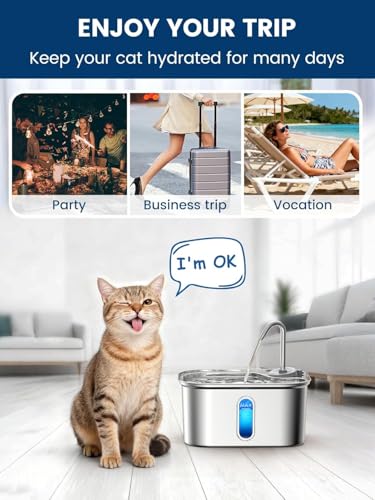 Cat Water Fountain Stainless Steel for Cats Indoor 2.5L 85oz by BPA