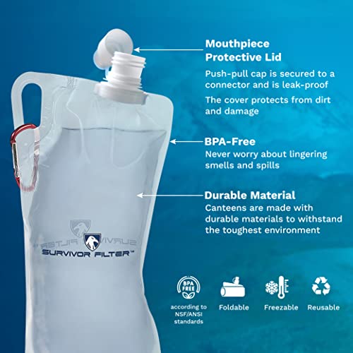 1L Clear Collapsible Water Bottles (2 Count)