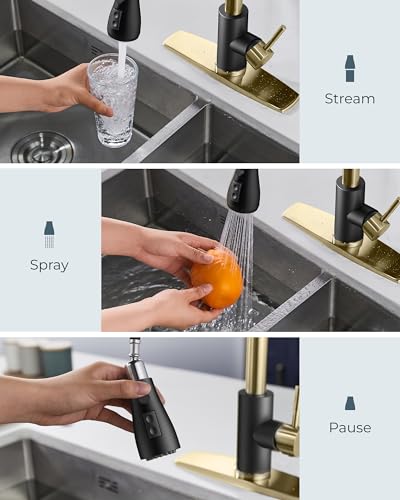 Kitchen Faucet with Soap Dispenser