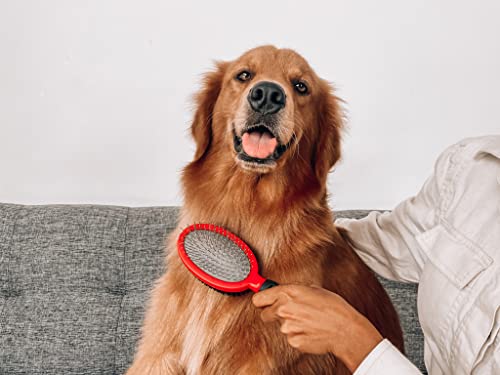Double Sided Dog Brush