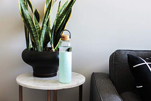 Glass Water Bottle with Silicone Sleeve