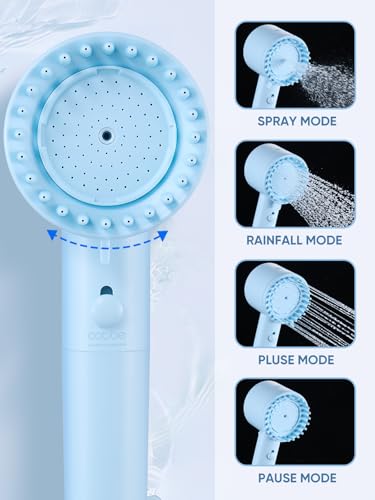 Filtered Shower Head with Handheld