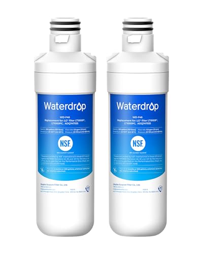 LT1000PC ADQ747935 MDJ64844601 Refrigerator Water Filter (2 Count)