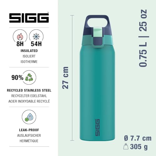 Insulated Water Bottle