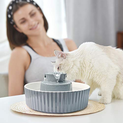 Pet Drinking Fountain (70 Fl Oz)