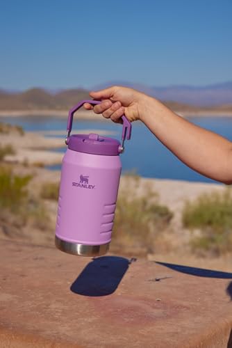 IceFlow 2.0 Flip Straw Jug with Handle 40 oz
