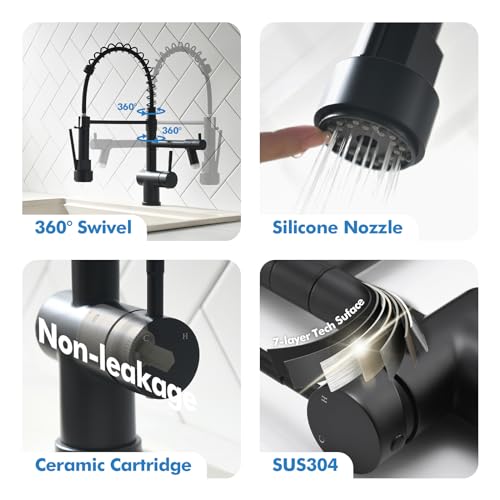 Kitchen Faucet with Pull Down Sprayer