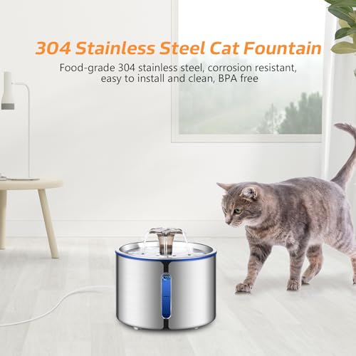 Cat Water Fountain