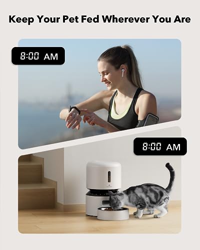 Automatic Cat Feeder