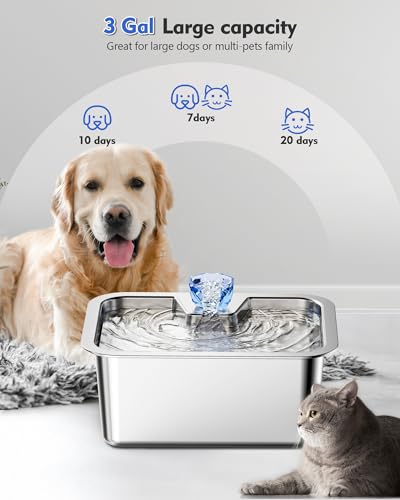 3 Gallon Stainless Steel Dog Water Fountain