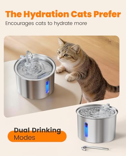 Stainless Steel Cat Water Fountain