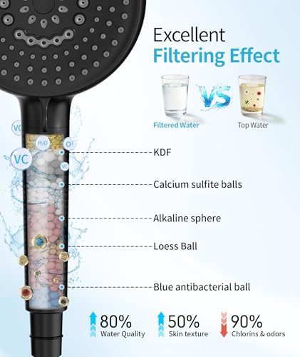 Filtered Shower Head with Handheld