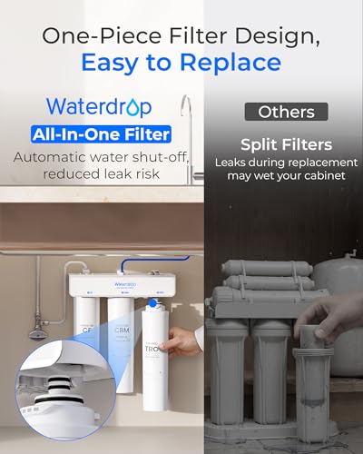 T3 T Remineralization Reverse Osmosis System