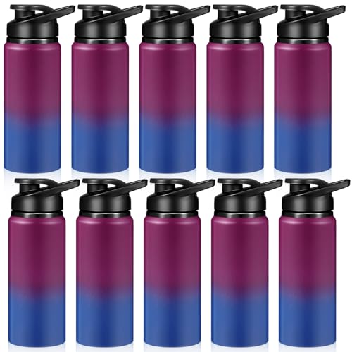 10 Pcs Aluminum Water Bottles (10 Count)
