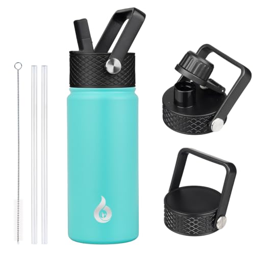 18oz Insulated Water Bottle with Straw Lid
