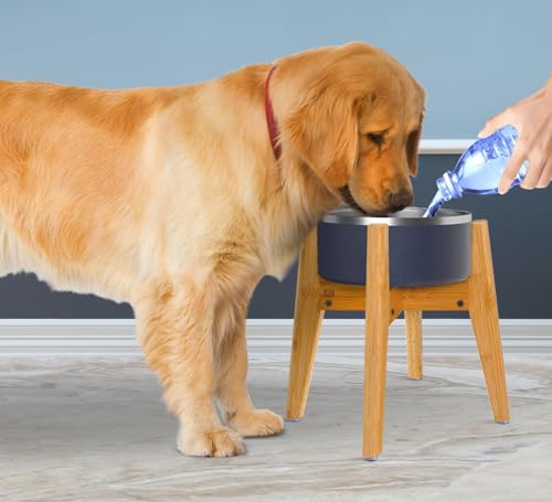 Dog Bowl Stand for Mid