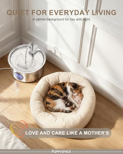 Cat Water Fountain Stainless Steel