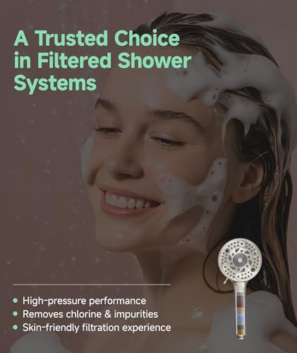 Filtered Shower Head with Handheld