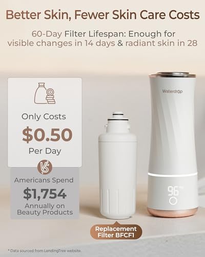 BFC1 Skincare Filter