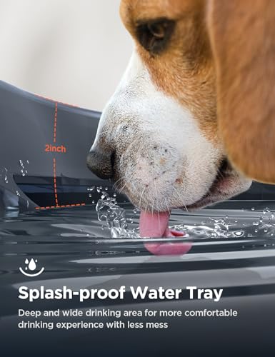 7L 1.8Gal Dog Water Fountain for Large Dog