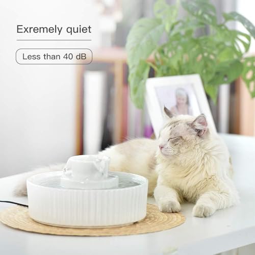 Pet Drinking Fountain (70 Fl Oz)
