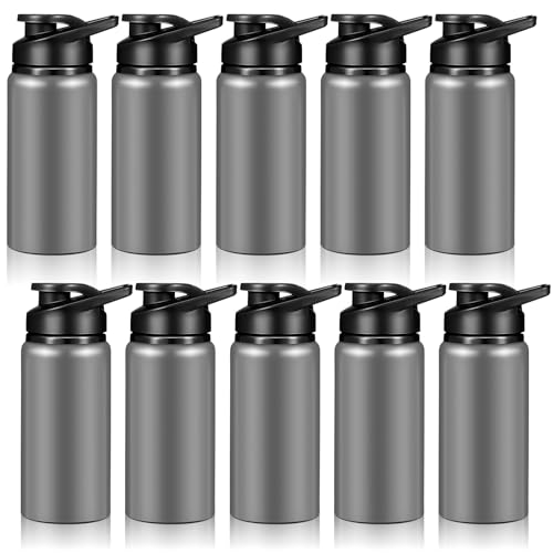 10 Pcs 13.5oz Aluminum Water Bottles Bulk (10 Count)