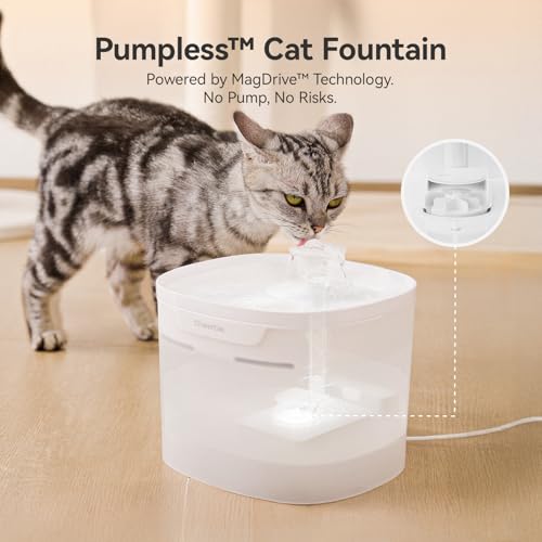 Pumpless Cat Water Fountain