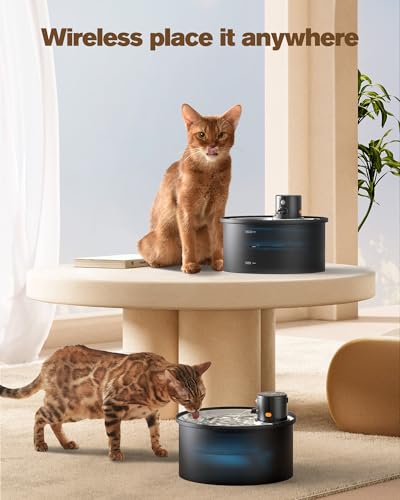 Wireless Cat Water Fountain Cordless